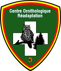 logo centre ornithologique readaptation cor